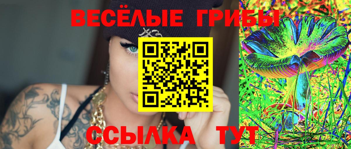 Псилоцибиновые грибы GOLDEN TEACHER Киселёвск